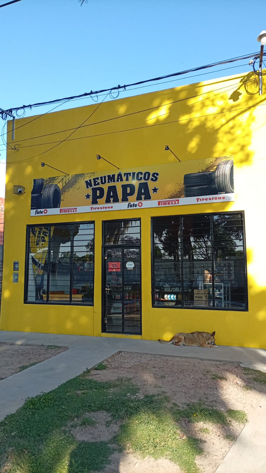 Frente del local Neumáticos Papa